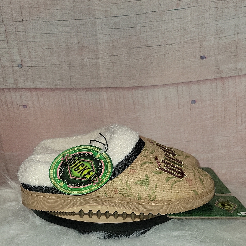 Wicked Slippers